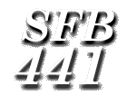 Logo: SFB 441